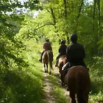Confortable Avec Terrasse - 5 Pers - Api-1-52-1957 * パミエ