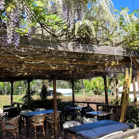 Campeggio Confortable Avec Terrasse - 5 Pers - Api-1-52-1957