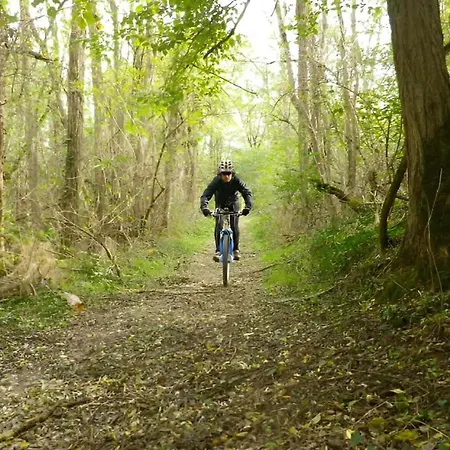 Campeggio Confortable Avec Terrasse - 5 Pers - Api-1-52-1957 Pamiers